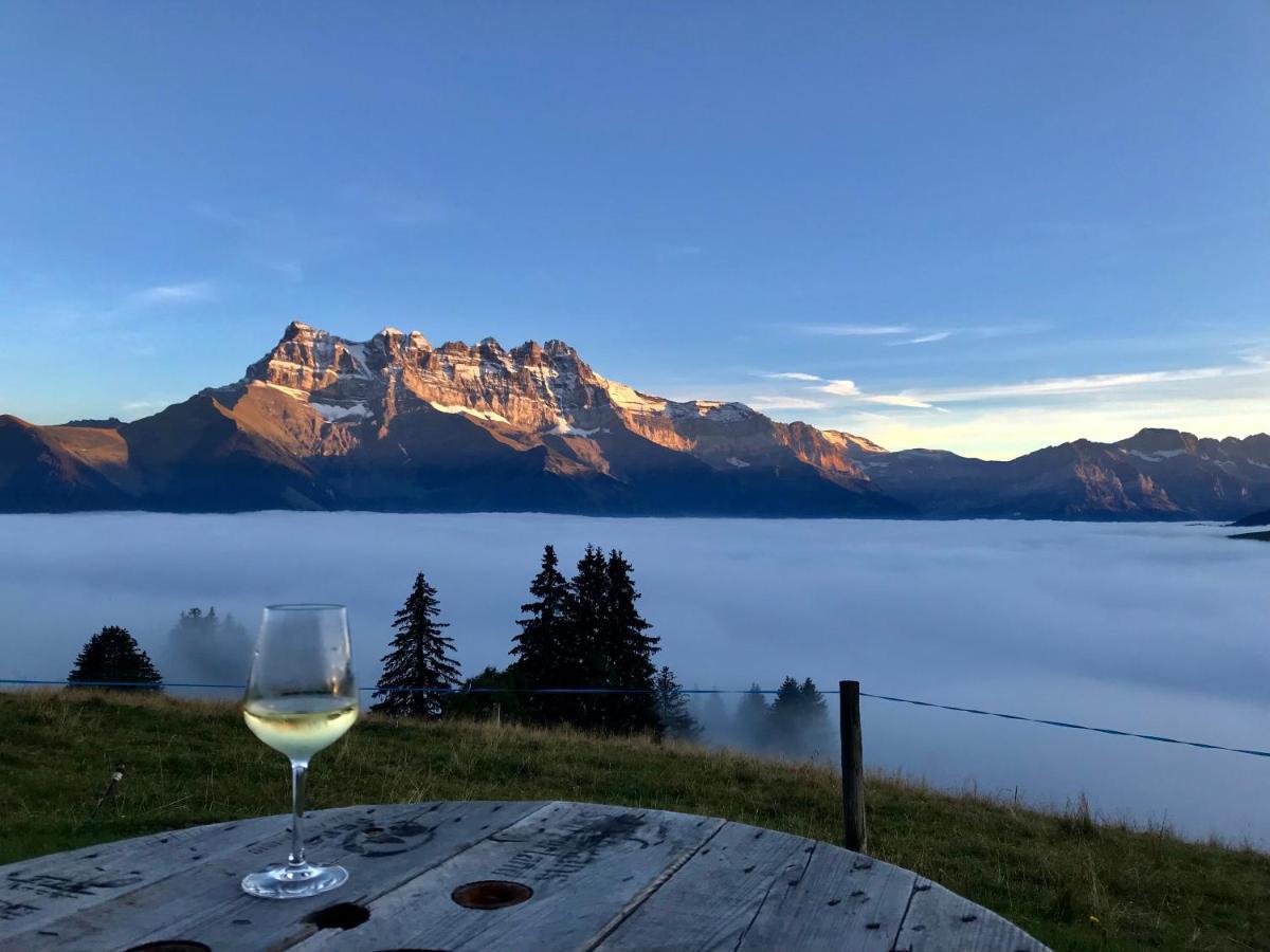 Chalet Chanso Моргинс Екстериор снимка